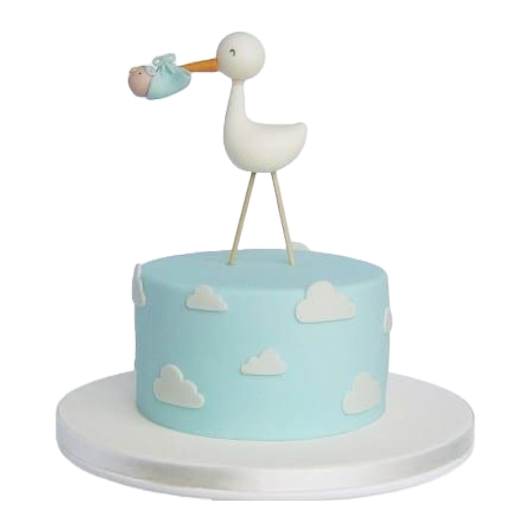 Gender Reveal Cake | Kool Cakes